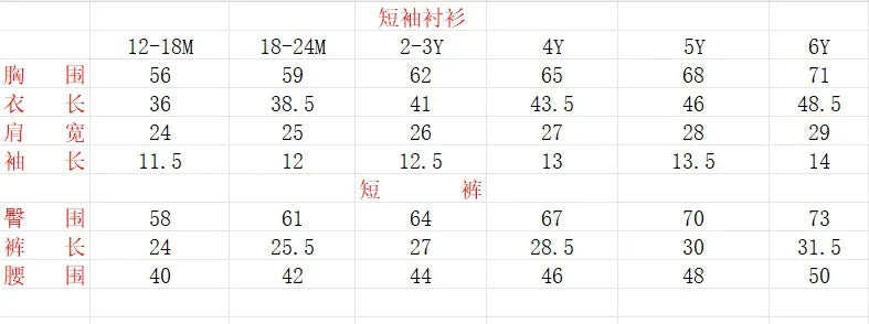 Boys Summer Bib Pants Set Children's Dress 2/Pc Kids Party Wear Size 80-130