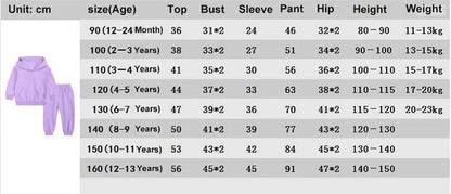 Children Clothes Kids Suit Sweater Girl Hooded Hoodies Pullover Sweatshirt Pant Spring Autumn Girl Boy Tracksuit Sportswear