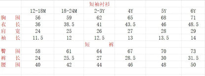 Boys Summer Bib Pants Set Children's Dress 2/Pc Kids Party Wear Size 80-130