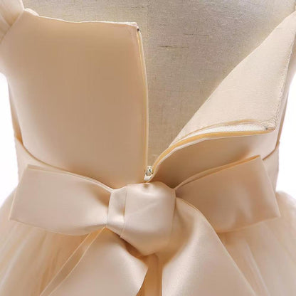 Girl's Princess Gawn