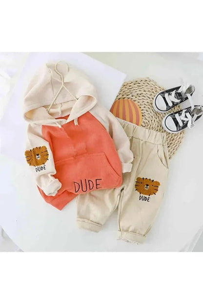 Baby Hoodie and Full Pant Set
